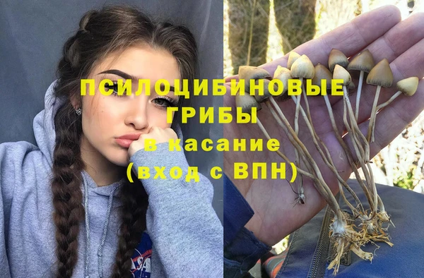 спайс Абаза